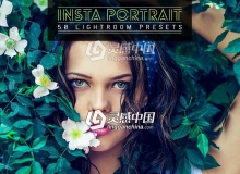 Insta流行电影人像Lightroom预设 50 Insta Portrait Lightroom Presets