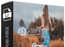 INS网红柔和橙色风格LR预设+手机lr预设 Orange Lightroom Presets