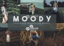 Ins莫迪森系旅拍胶片人像修图LR预设 Moody Lightroom Presets