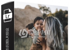Jasmin Pickens 情侣婚礼家庭摄影后期Lightroom预设The Wanderlust LR