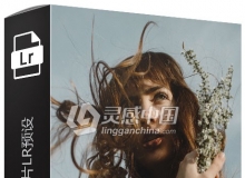 Lady Byrne 2019情绪人像轻胶片Lightroom预设+ACR预设