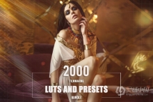 40个类别2000个电影制作预设和LUT调色预设捆绑包 2000 Filmmaking LUTs and Presets Bundle