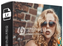 INS网红Jonas Jaeschke厚重饱满胶片人像电影色调Lightroom预设
