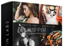 MASTIN LABS 2018 for Lr/ACR 胶片模拟大师马斯丁工作室2018年更新包