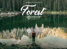 森系旅拍电影胶片色调LR预设/移动APP预设 Forest Mobile Presets