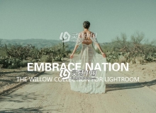 英格兰摄影师Embrace Nation电影胶片人像LR预设The Willow Collection