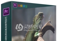 Premiere中GuruLUTs与Look专业调色预设高效使用技巧视频教程