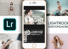 专业人像修饰电脑版lr预设+手机版lr预设 Clean & Bright lr+Mobile