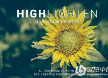 高亮度LR调色预设 Highlighten Lightroom Presets