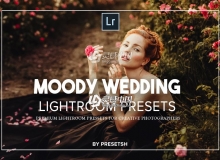 电影婚礼人像调色LR预设+LR移动预设Moody Wedding Lightroom Presets