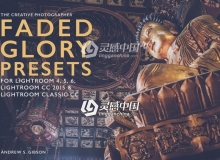 低饱和磨砂柔和色彩Lightroom预设 Creative Faded Glory Lightroom