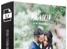 富士400h胶卷色调电影模拟LightRoom预设 Magnolia Lightroom Presets