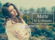 70组磨砂效果Lightroom预设 70 Matte Lr presets