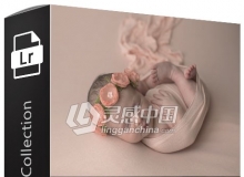 国外大师级GTG出品新生儿修饰LR+ACR预设 GTG Newborn Collection