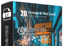 城市夜景街拍电影色调Lightroom预设 20 Orange & Teal Look Lightroom Preset