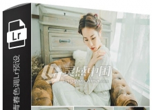 清新淡雅复古胶片情绪青春色调Lr预设