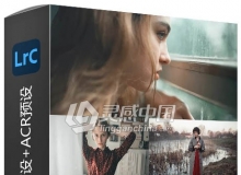 大师自用调色LR预设+ACR预设 Marat Safin Gala Lightroom and ACR Preset Pack