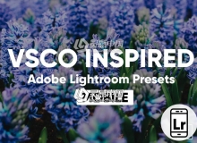 VSCOcam胶片灵感手机版Lightroom预设 Lightroom CC Mobile VSCO Presets