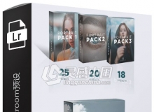 高级人像后期Lightroom预设/手机预设Premium Portrait Lightroom Bundle