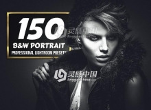 高级人像黑白Lightroom预设 B&W Portrait - 150 Lightroom Presets