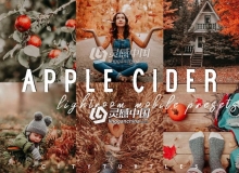 温暖琥珀秋季金色调人像Lightroom预设+手机版Lightroom APP预设