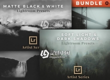 艺术大师风光后期Lightroom预设 Artist Series – Lightroom Bundle 04
