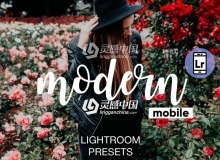 现代VSCOcam灵感手机版LR预设 Modern Lightroom CC Mobile Presets