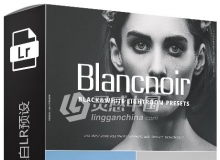 时尚人像单色黑白Lightroom预设 Blancnoir Lightroom Presets