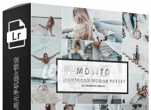 旅行博客摄影师不饱和褪色高光手机版lr预设 Mobile Lightroom Preset Mojito
