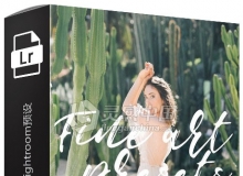 现代时尚美感电影美感Lightroom预设 Fine art Lightroom Presets