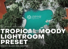 热带风情旅拍胶片LR预设+手机LR预设 Tropical Moody Lightroom Preset