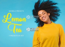 清晰通透去灰润色Lightroom预设/移动APP预设Lemon Tea Mobile Presets