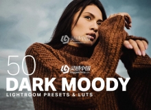 阴郁情绪人像胶片LR预设/APP+LUT预设Dark Moody Lightroom Presets LUTs