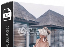 Yulia Bezdar马尔代夫旅行摄影手机版LR预设 Maldives Mobile Presets