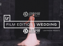 电影级婚礼胶片Lightroom预设Film Wedding Lightroom Presets