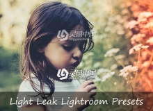 漏光,光泄漏Lightroom预设 46 Light Leak Lightroom Presets
