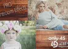 专业肖像Lightroom预设 Lightroom Presets PRO Portrait