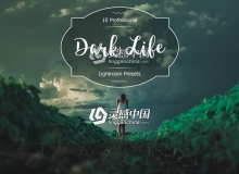 黑暗风格Lightroom预设 Dark Life Lr Presets