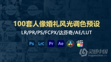 Lr预设100套人像婚礼风光影视后期调色Lightroom预设 支持LR/PR/PS/FCPX/达芬奇/AE/LUT