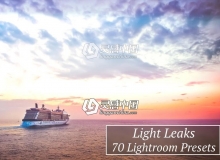 70光泄漏漏光Lightroom预设 70 Light Leaks Lr Presets