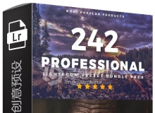 242超级专业创意lr预设 242 Pro Lightroom Preset