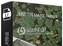 摄影师Kristen Marie Parker婚礼胶片LR预设 DVLOP Kristen Marie Parker V2
