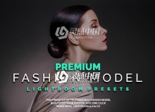 高级杂志封面时装模特人像调色Lightroom预设Fashion Model Lightroom