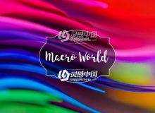 宏观世界摄影Lightroom预设 Macro World Lr Presets