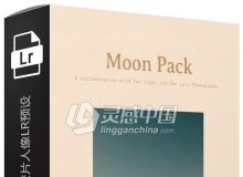 G-Preset光与爱系列-复古婚礼胶片人像LR预设 The Moon Pack