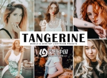 哑光金色调旅拍人像LR预设+移动APP预设 Tangerine Lightroom Presets