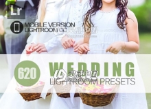 620个婚礼婚纱手机版Lightroom预设 620+ Wedding Lightroom Mobile bundle
