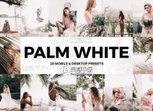 旅拍棕白电影胶片LR预设/LUT预设 Palm White Lightroom Presets+LUTs