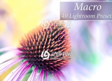 40组微距摄影后期Lightroom预设 40 Macro Lr Presets