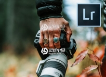 INS网红摄影师Peter McKinnon 2018秋季旅拍Lightroom预设
